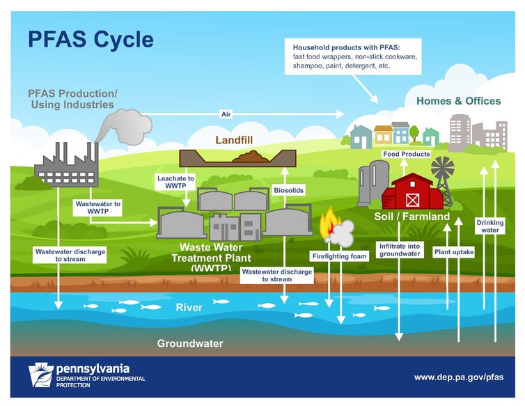 How PFAS chemicals get into the environment.