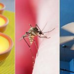 natural-ways-to-prevent-mosquito-bites-722×406.jpg