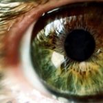 10-essential-facts-about-your-eyes-722×406.jpg