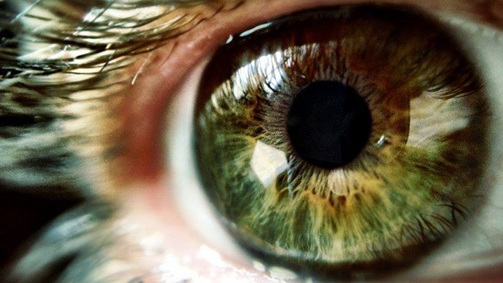 10 Essential Facts About Your Eyes