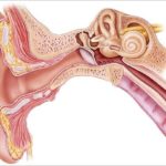 complications-related-to-ear-infections-722×406.jpg