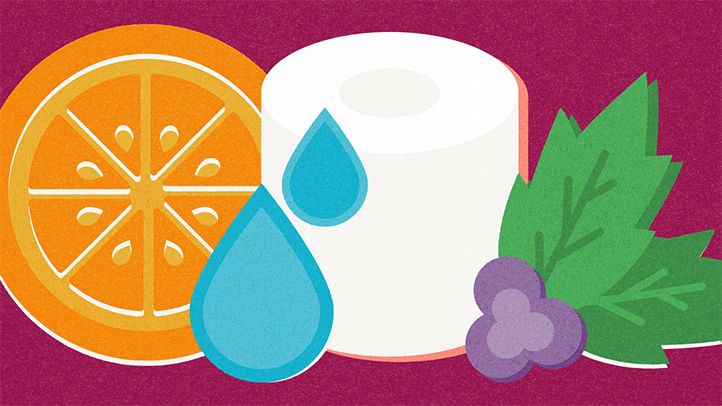 illustration of orange, citrus, vitamin c, hydration, emptying bladder, toilet paper, bearberry leaf, uva ursi