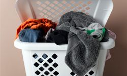 Do your laundry regularly -- you don't want your undershirts to turn into a den for bugs, do you?