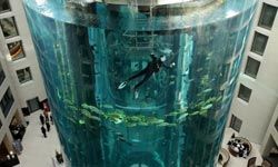 A diver cleans the glass of the 25 meters (82 feet)-tall AquaDom in the lobby of the Radisson SAS Hotel in Berlin. The aquarium contains about 1,500 fish. Fortunately, cleaning your personal fish tank won't involve getting a dive mask on.