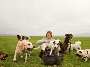 At dog parks, canines make friends and run free. Check out these dog pictures.