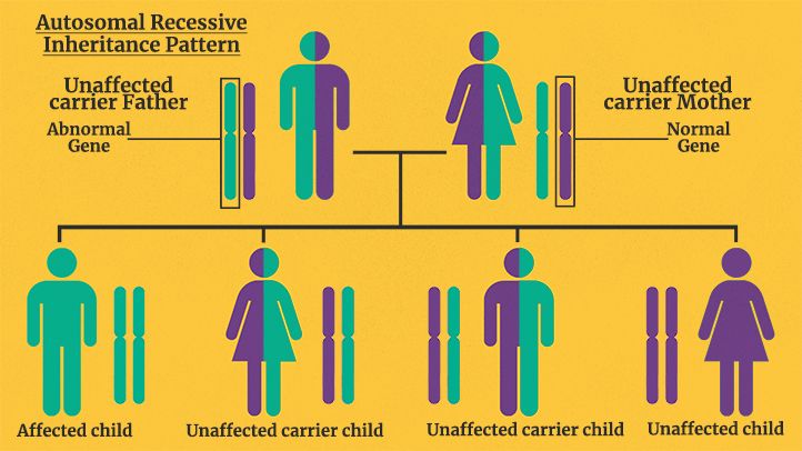 What Is Xyy Syndrome Symptoms Causes Diagnosis Treatment And